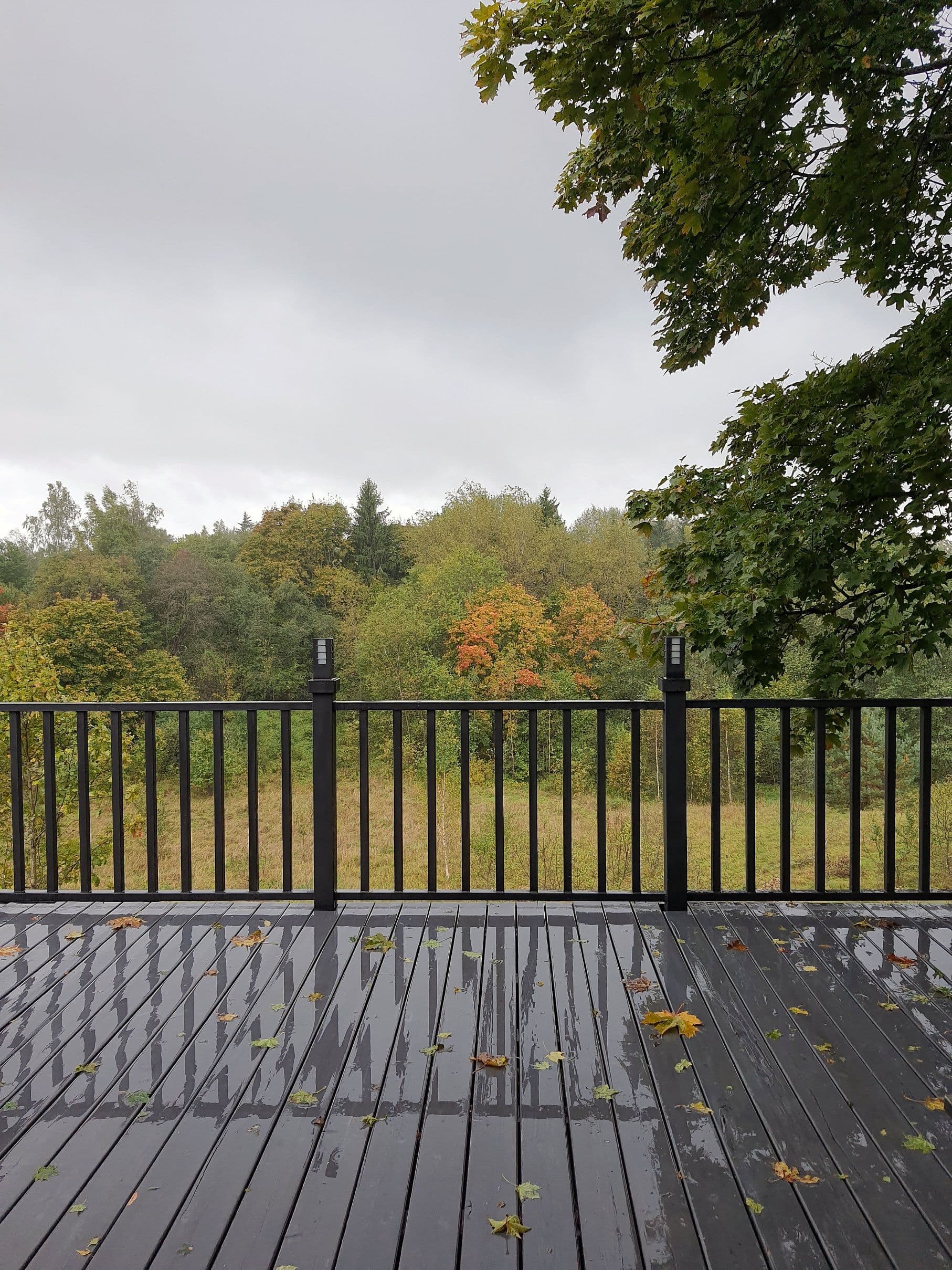 20210925_161706-01.jpeg | Аренда загородной недвижимости GVillage | Аренда загородной недвижимости GVillage