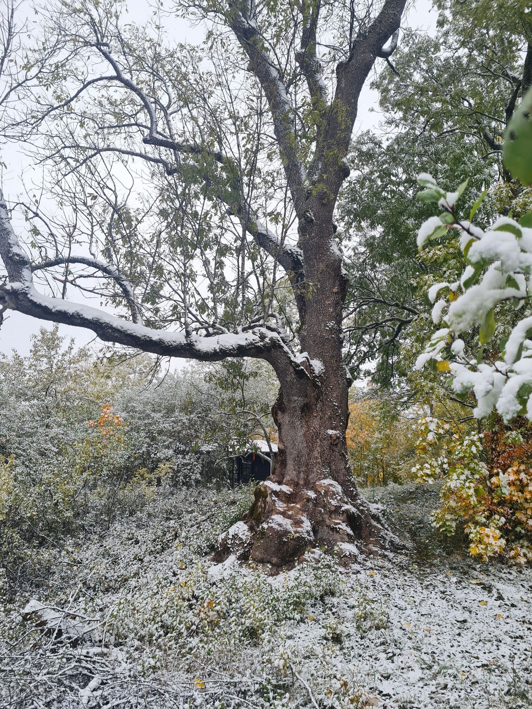 20231020_103328-01.jpeg | Аренда загородной недвижимости GVillage | Аренда загородной недвижимости GVillage