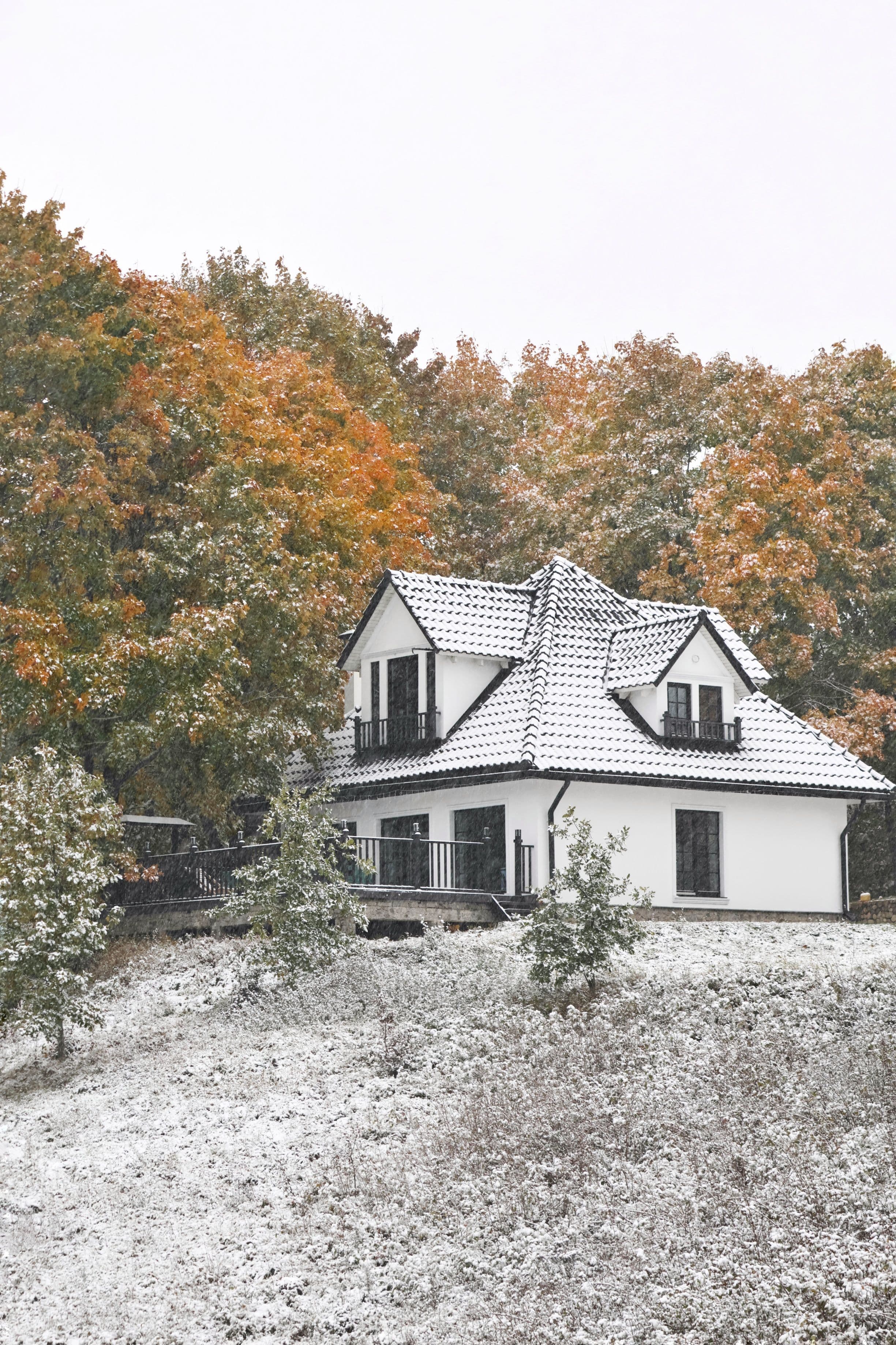 20231120083141_5R9A9532-01.jpeg | Аренда загородной недвижимости GVillage | Аренда загородной недвижимости GVillage