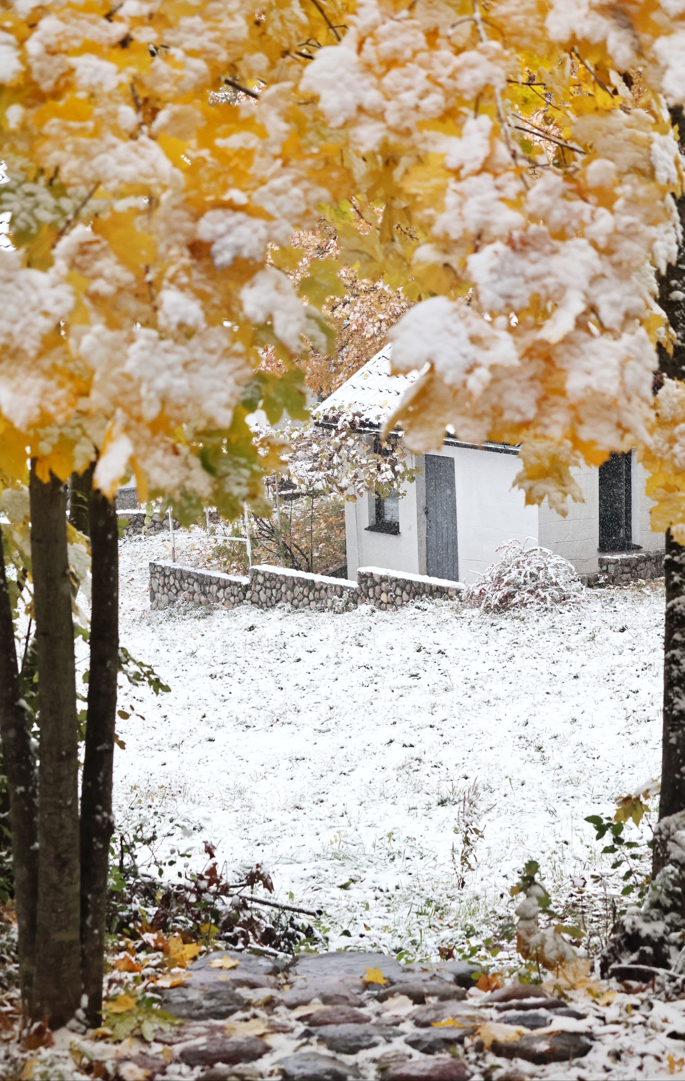 20231120083443_5R9A9537-01.jpeg | Аренда загородной недвижимости GVillage | Аренда загородной недвижимости GVillage