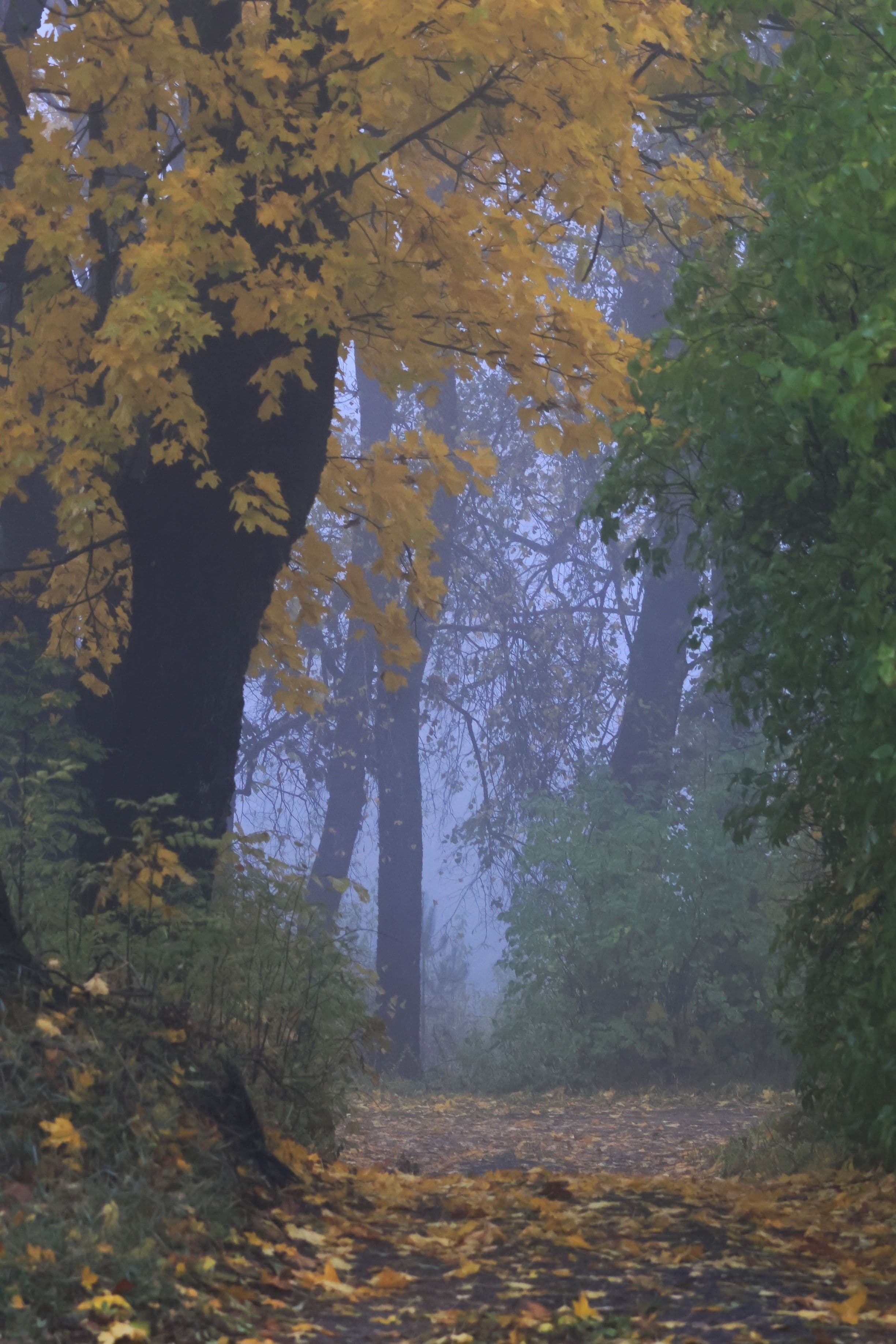 20231123154026_5R9A9697-01.jpeg | Аренда загородной недвижимости GVillage | Аренда загородной недвижимости GVillage