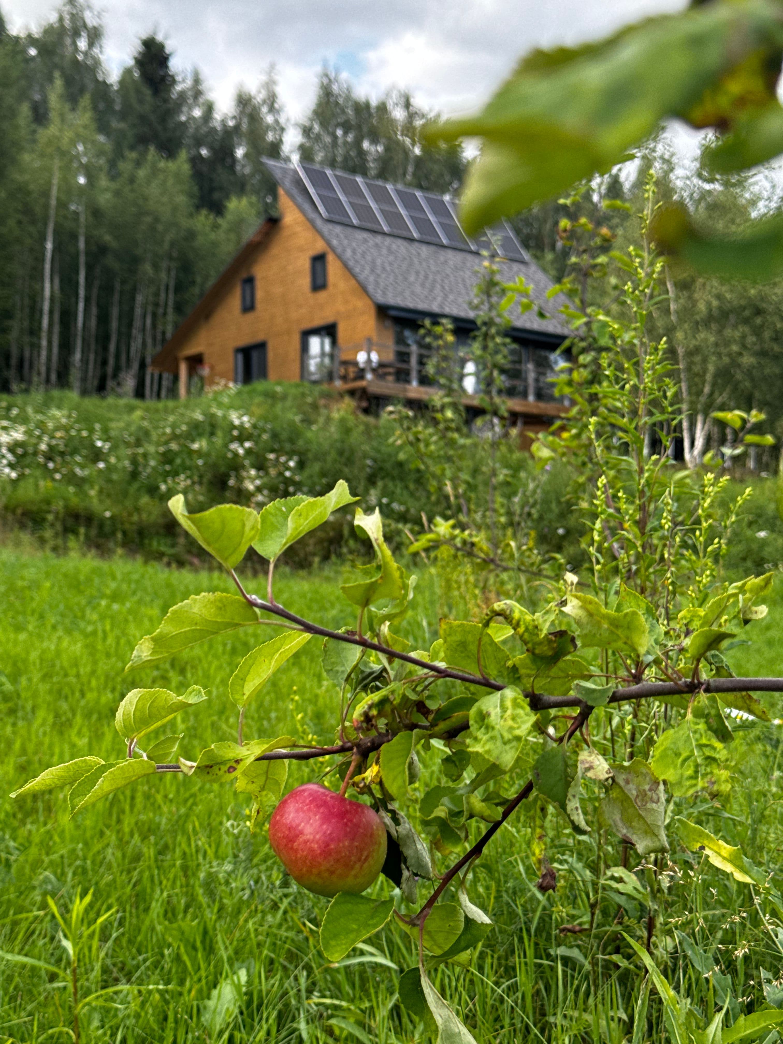 37.jpg | Аренда загородной недвижимости GVillage | Аренда загородной недвижимости GVillage