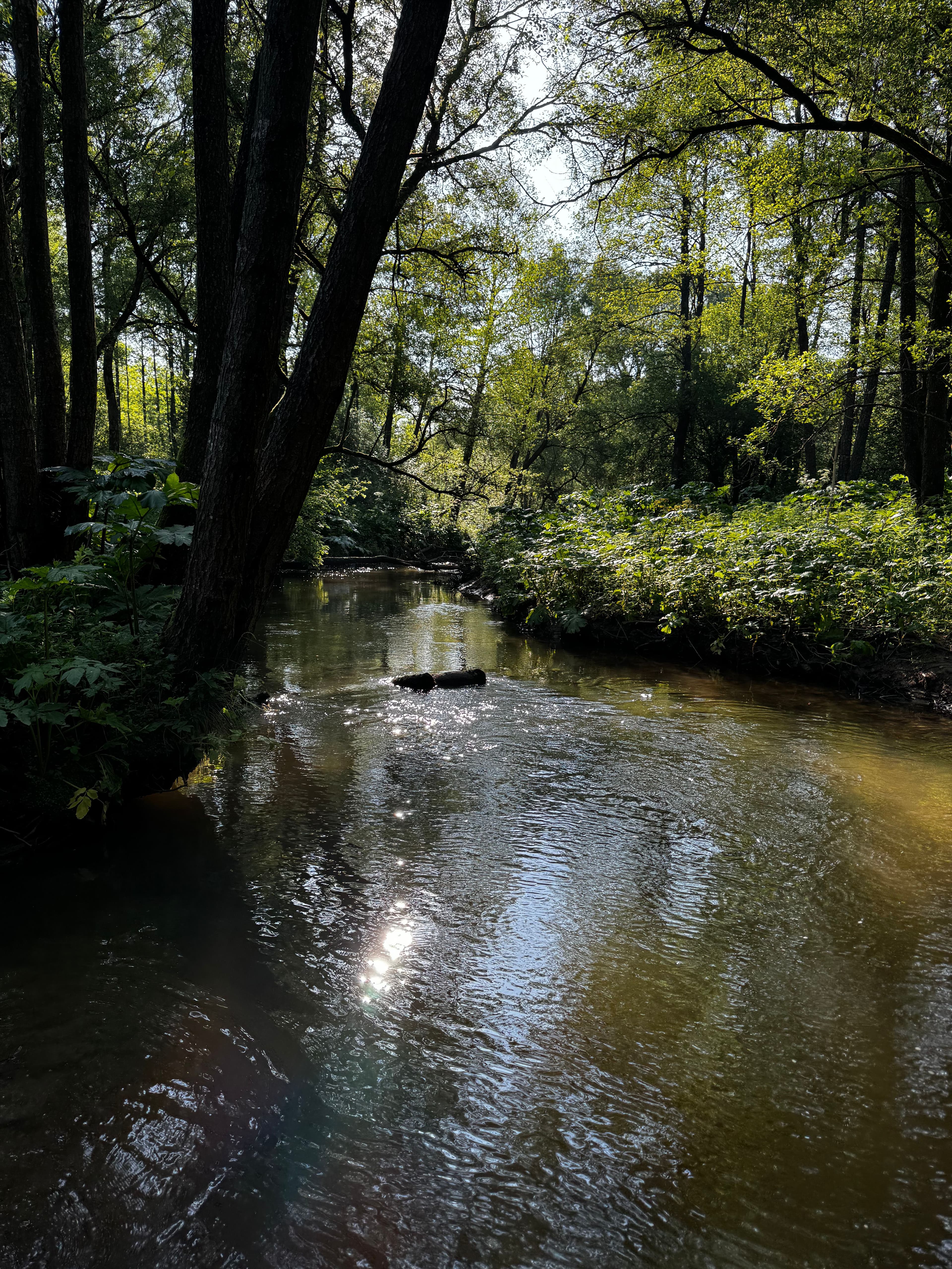 38.jpg | Аренда загородной недвижимости GVillage | Аренда загородной недвижимости GVillage