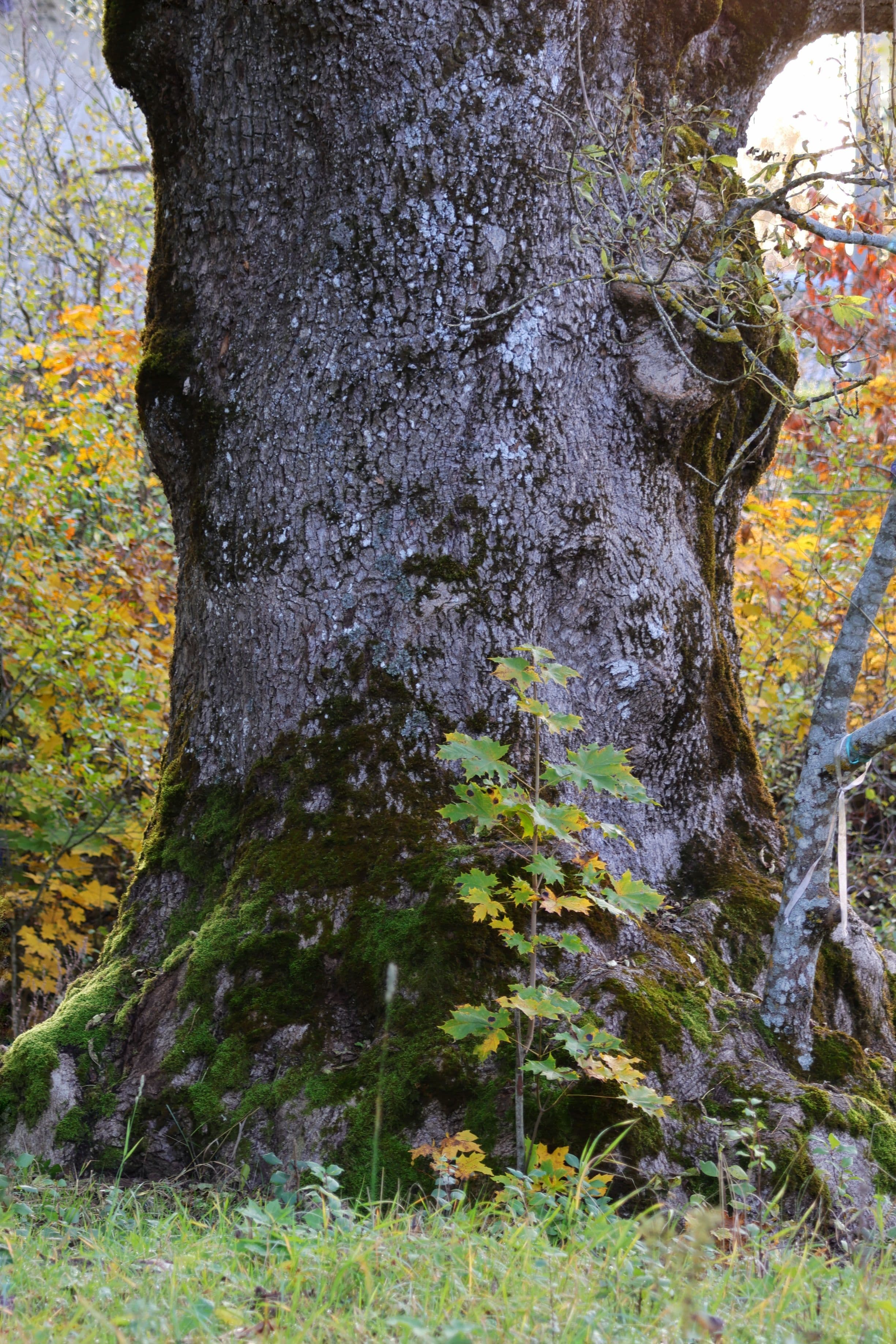 5R9A3856.JPG | Аренда загородной недвижимости GVillage | Аренда загородной недвижимости GVillage