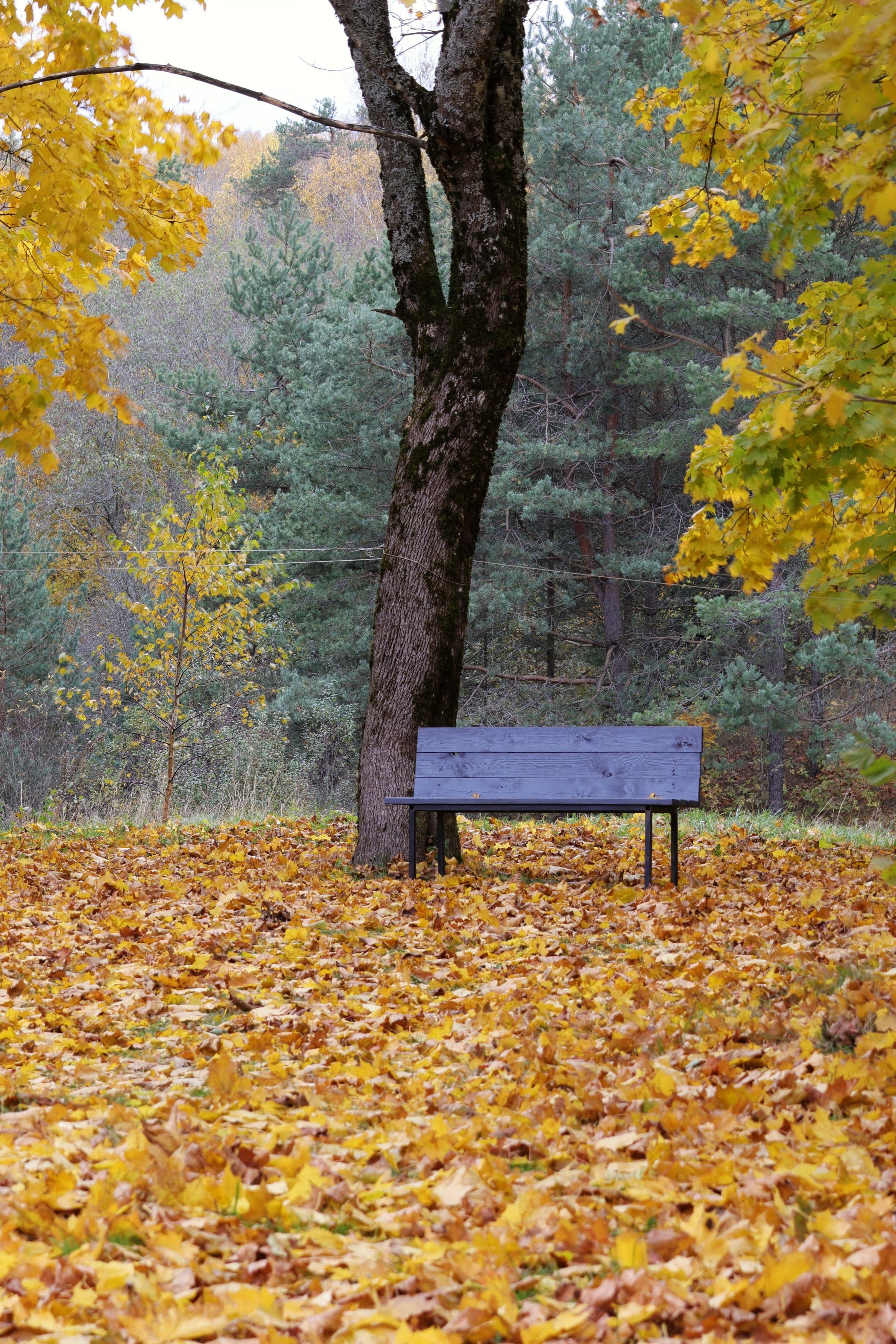 5R9A3930.JPG | Аренда загородной недвижимости GVillage | Аренда загородной недвижимости GVillage