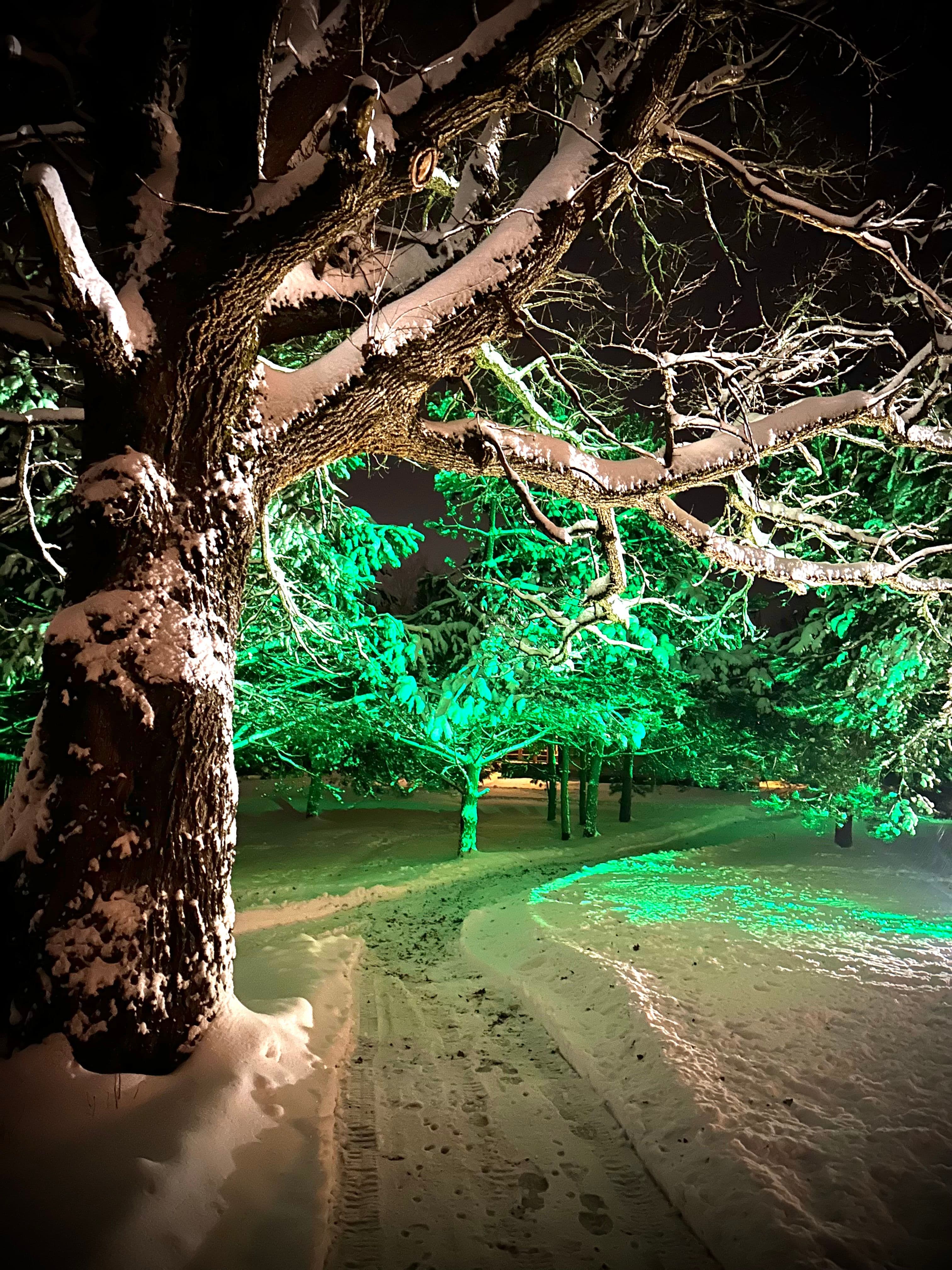 IMG_3212.jpegundefined | Аренда загородной недвижимости GVillage