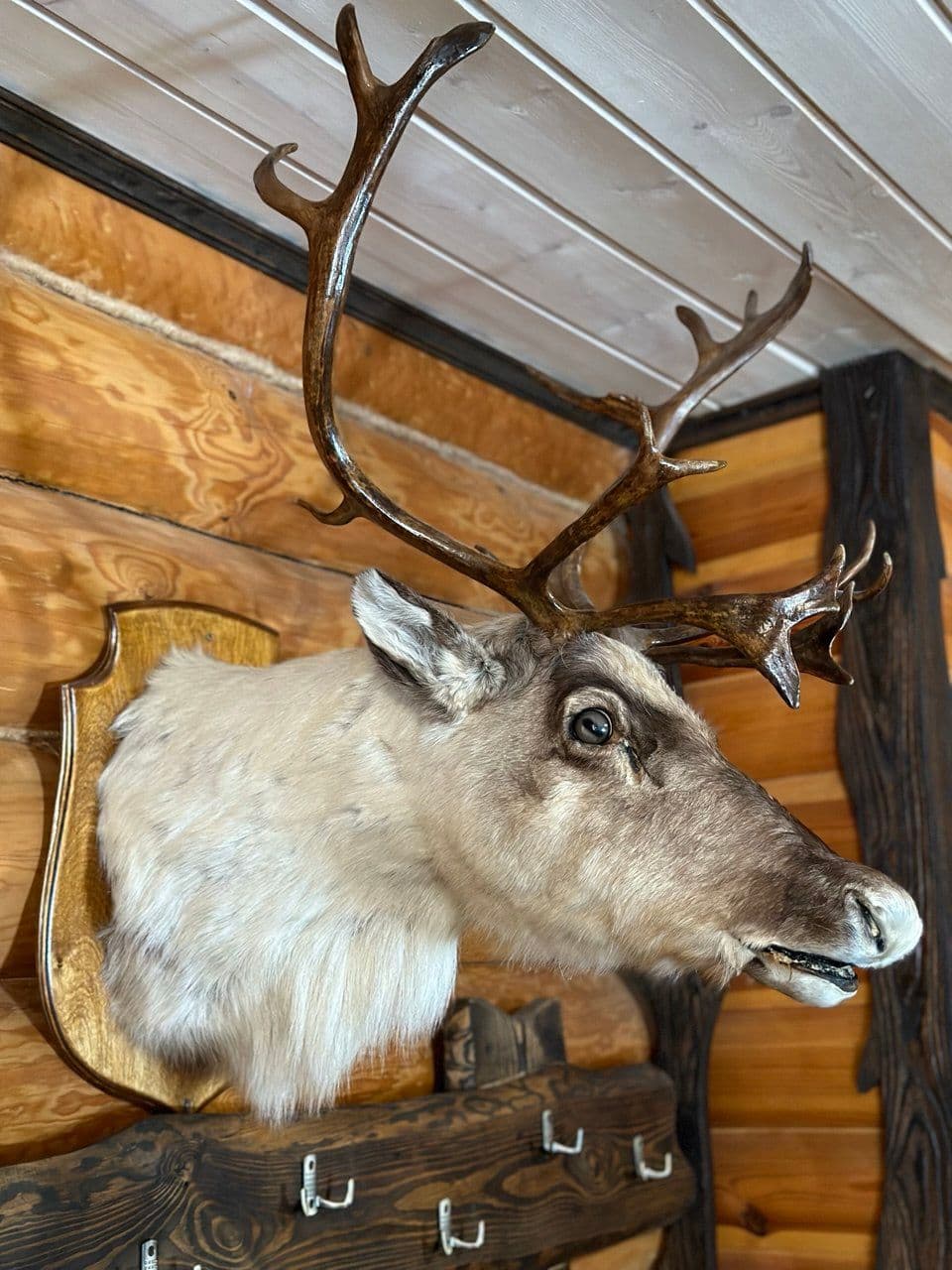 photo_2025-10-15_16-59-53.jpg | Аренда загородной недвижимости GVillage | Аренда загородной недвижимости GVillage