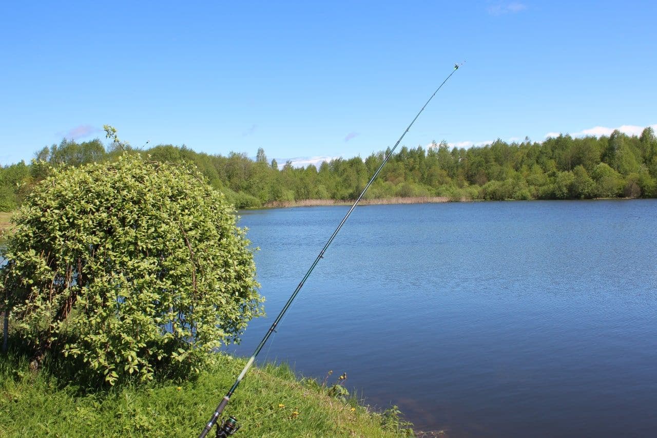 photo_2025-11-20 17.52.35.jpeg | Аренда загородной недвижимости GVillage | Аренда загородной недвижимости GVillage