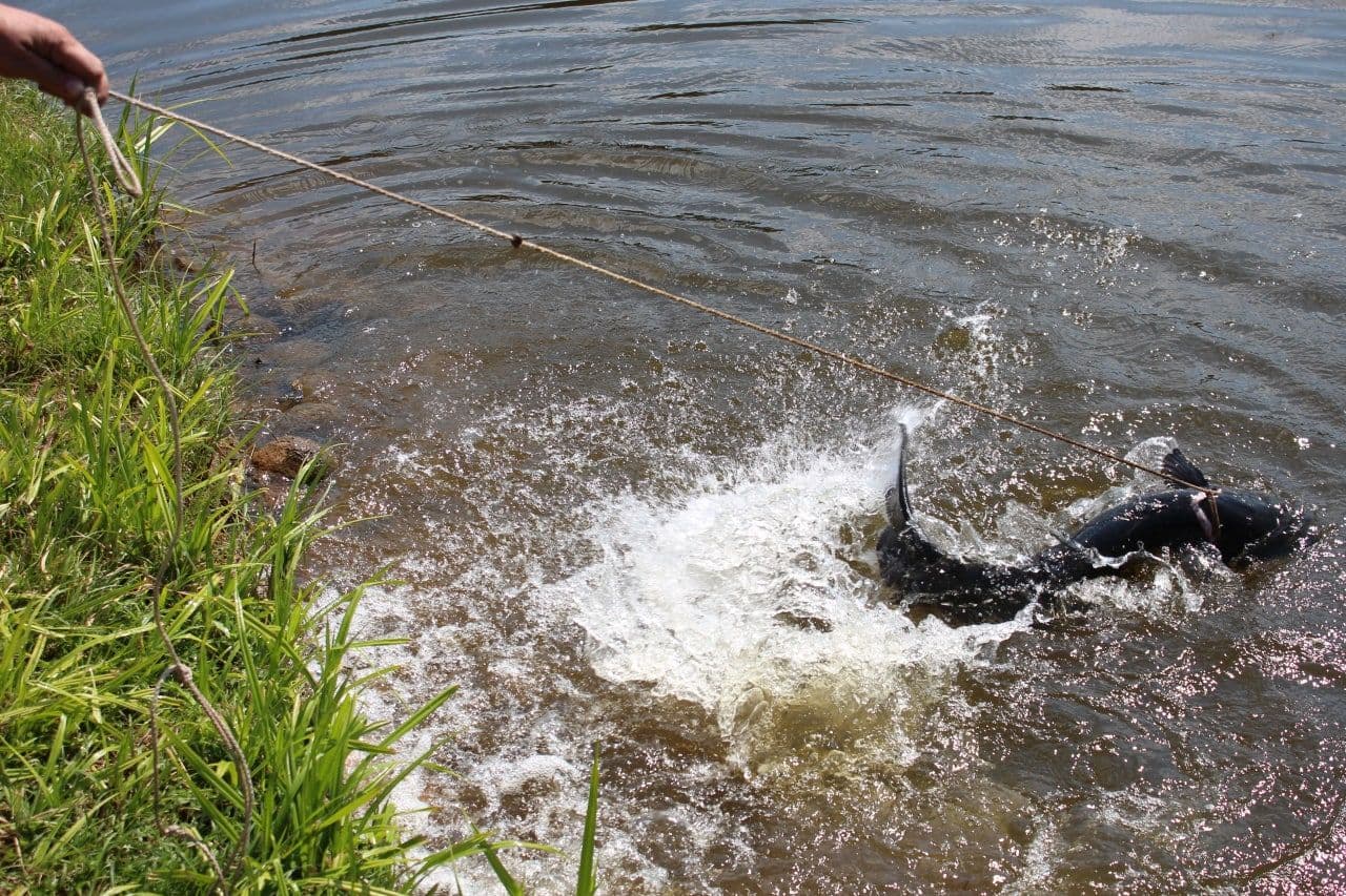 photo_2025-11-20 17.52.55.jpeg | Аренда загородной недвижимости GVillage | Аренда загородной недвижимости GVillage