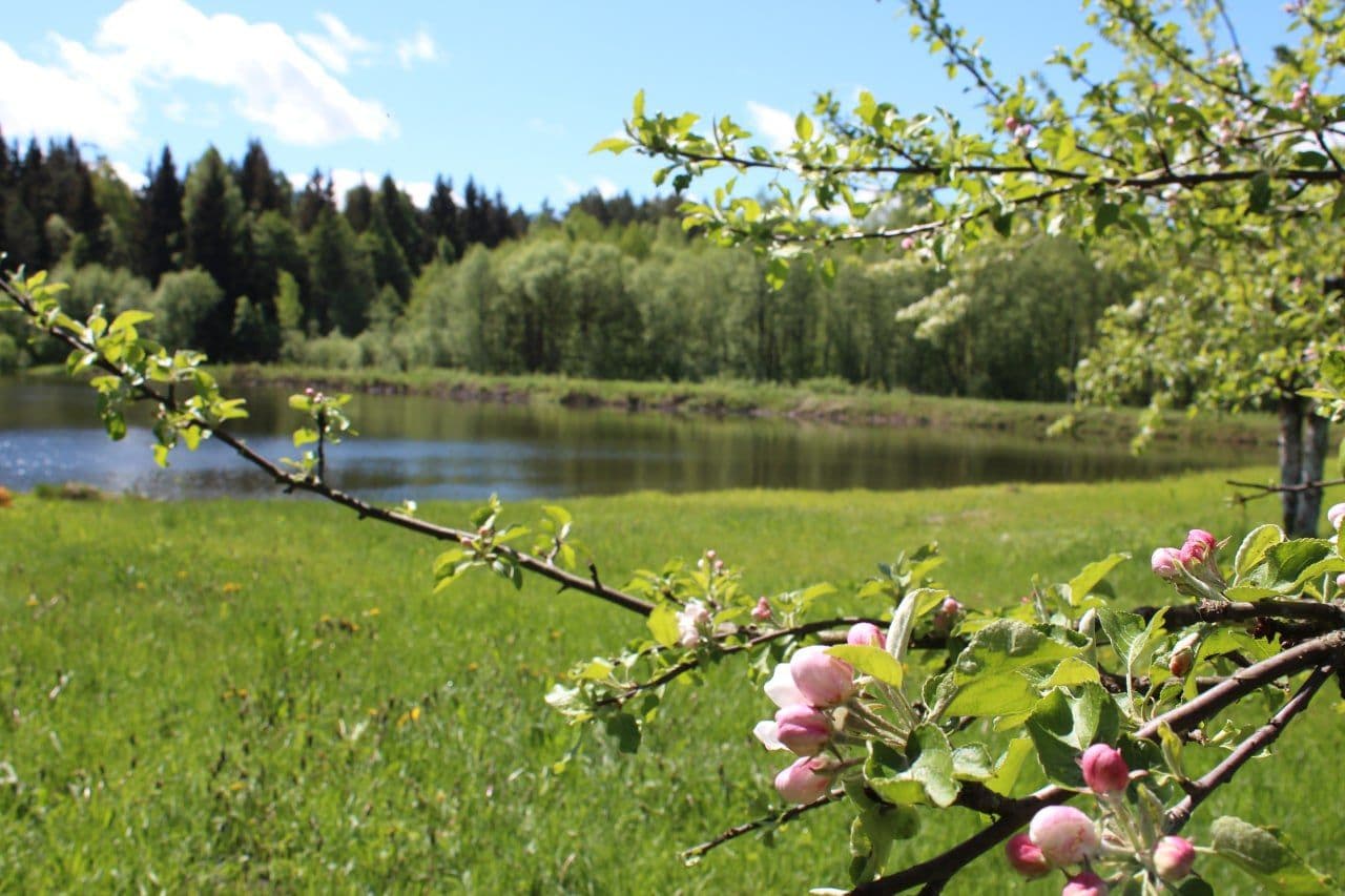 photo_2025-11-20 17.52.56.jpeg | Аренда загородной недвижимости GVillage | Аренда загородной недвижимости GVillage