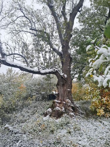 20231020_103328-01.jpeg | Аренда загородной недвижимости GVillage | Аренда загородной недвижимости GVillage