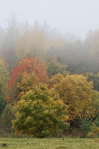 20231123141327_5R9A9552-01.jpeg | Аренда загородной недвижимости GVillage | Аренда загородной недвижимости GVillage