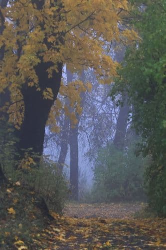 20231123154026_5R9A9697-01.jpeg | Аренда загородной недвижимости GVillage | Аренда загородной недвижимости GVillage