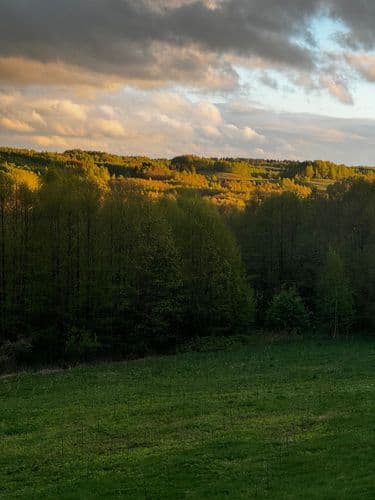 32.jpg | Аренда загородной недвижимости GVillage | Аренда загородной недвижимости GVillage