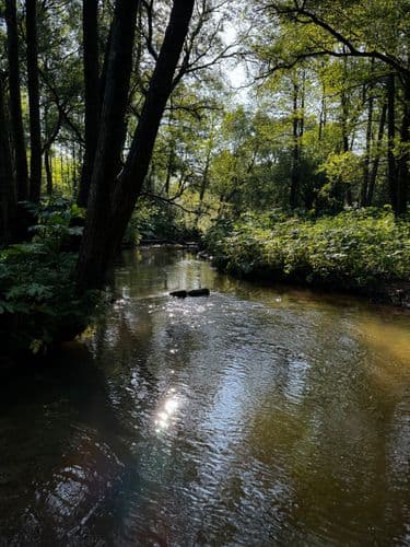38.jpg | Аренда загородной недвижимости GVillage | Аренда загородной недвижимости GVillage