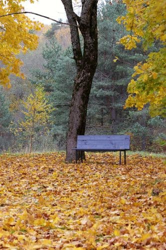 5R9A3930.JPG | Аренда загородной недвижимости GVillage | Аренда загородной недвижимости GVillage