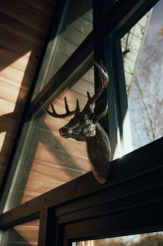 DSC_4511.jpeg | Аренда загородной недвижимости GVillage | Аренда загородной недвижимости GVillage