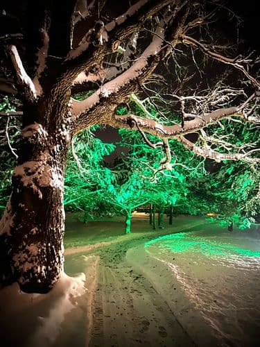 IMG_3212.jpegundefined | Аренда загородной недвижимости GVillage