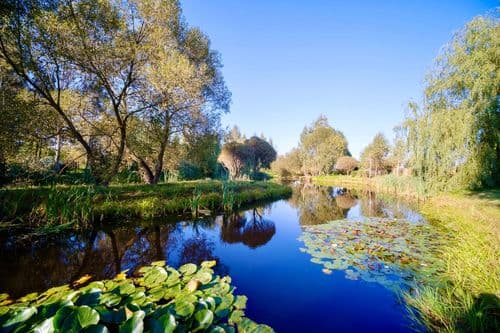 image-08-10-25-06-57-1.jpeg | Аренда загородной недвижимости GVillage | Аренда загородной недвижимости GVillage