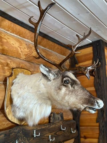 photo_2025-10-15_16-59-53.jpg | Аренда загородной недвижимости GVillage | Аренда загородной недвижимости GVillage