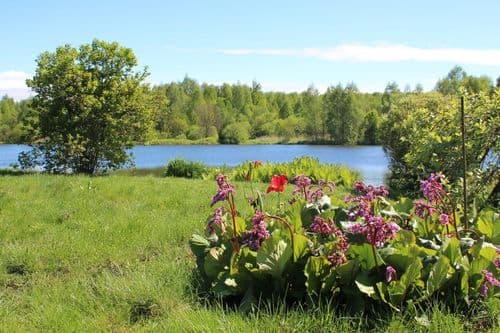 photo_2025-11-20 17.52.42.jpeg | Аренда загородной недвижимости GVillage | Аренда загородной недвижимости GVillage