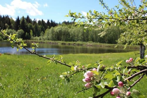 photo_2025-11-20 17.52.56.jpeg | Аренда загородной недвижимости GVillage | Аренда загородной недвижимости GVillage