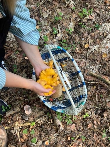 photo_2025-11-20 17.53.08.jpeg | Аренда загородной недвижимости GVillage | Аренда загородной недвижимости GVillage
